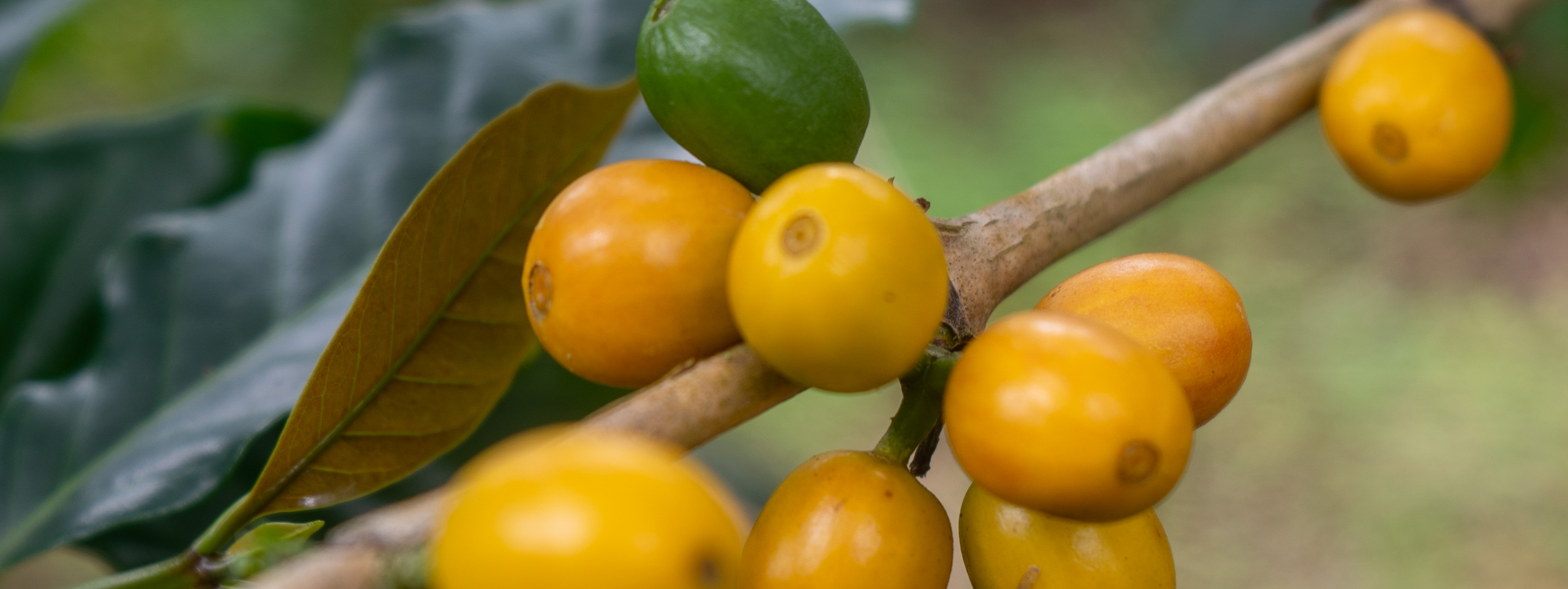 Der Transparenzbericht 2025 ist da!