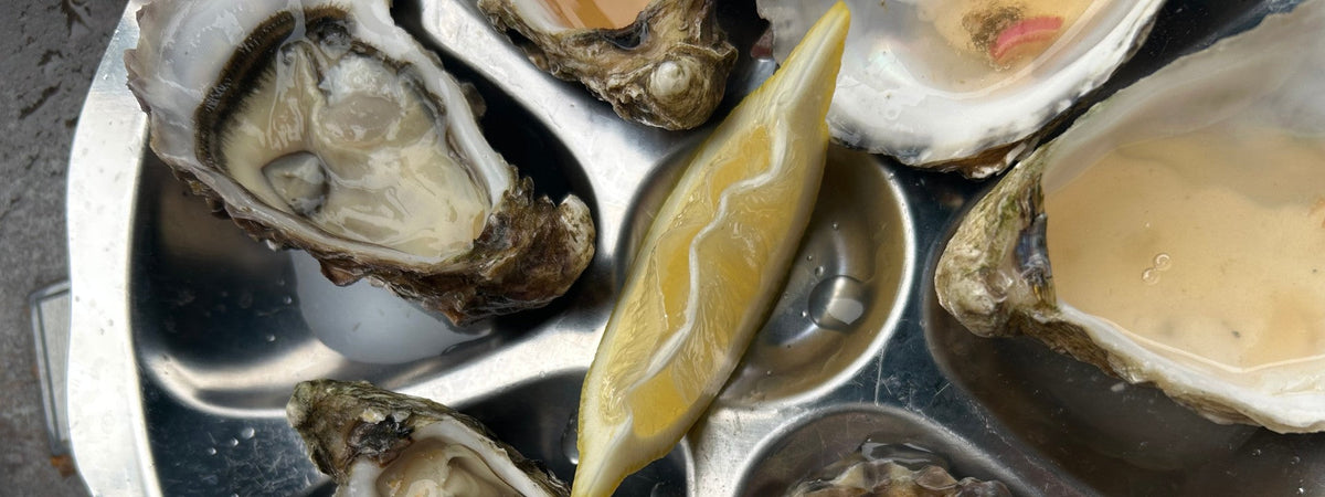 U LIKE OYSTERS?