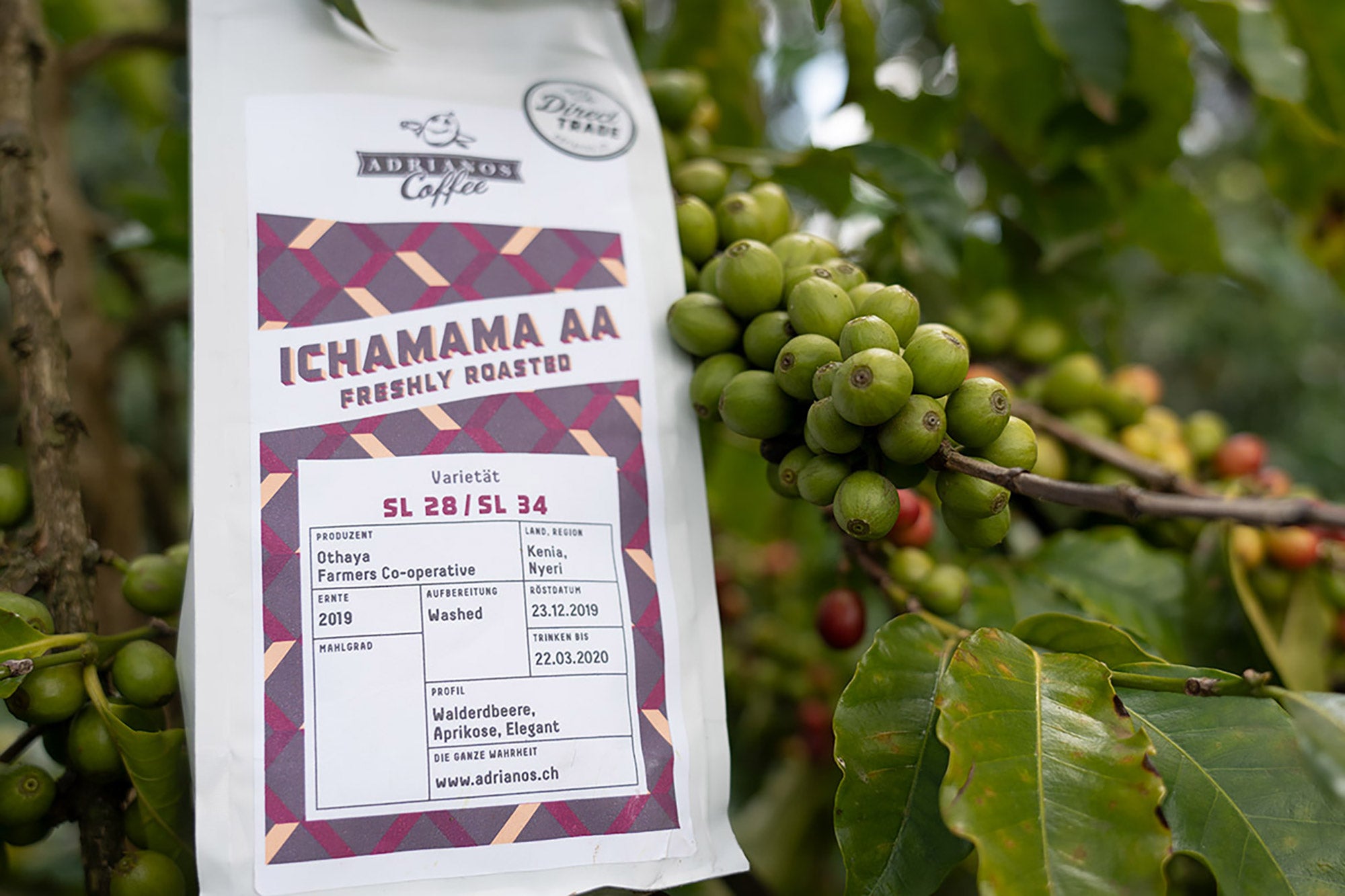 Ichamama AA Filterkaffee: Sascha zu Besuch in Kenia