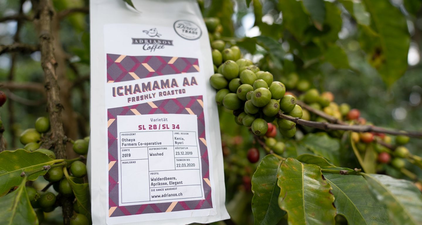 Ichamama AA Filterkaffee: Sascha zu Besuch in Kenia